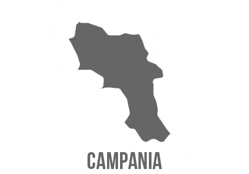 Rete della Campania