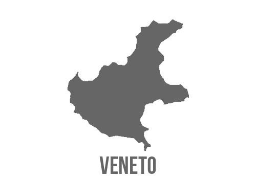 Rete del Veneto